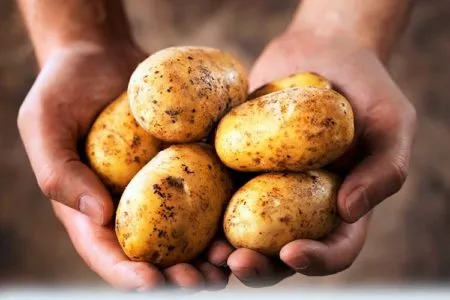 мозоль руки пальці