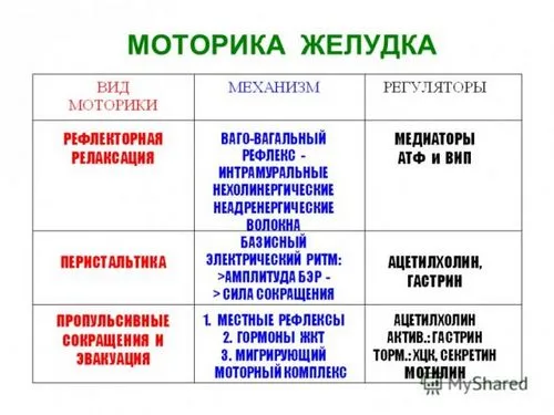 як лікувати моторику шлунку
