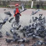 Отруєння у немовлят як лікувати отруєння у немовляти