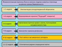 здоров'я
