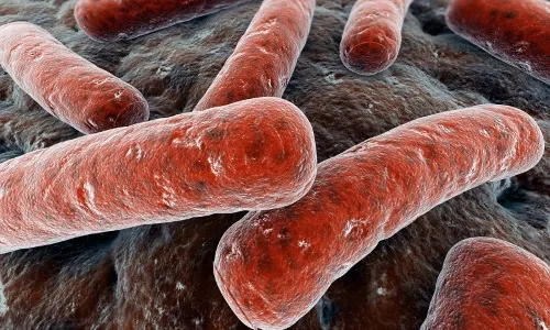 Вогнищевий туберкульоз легень: причини, симптоми, лікування, як передається, заразність як лікувати вогнищевий туберкульоз легенів