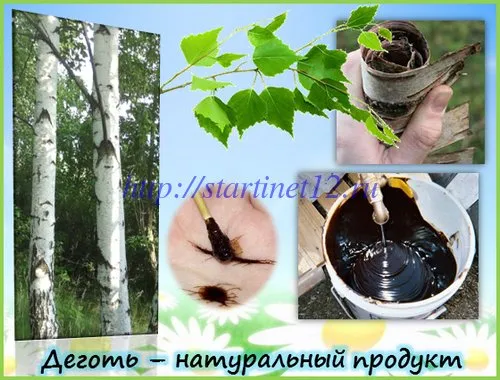 як лікувати печінку дьогтем