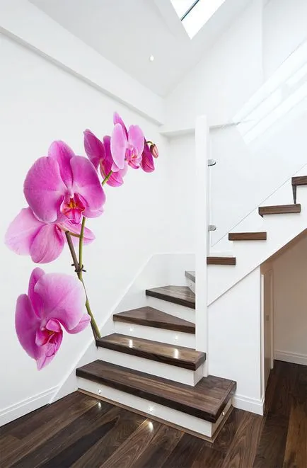 25 variantelor Fab Photowall