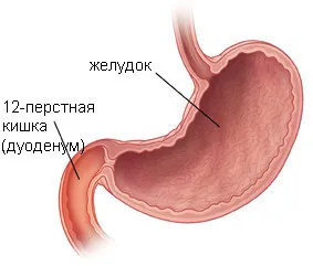 проблеми з кишечником