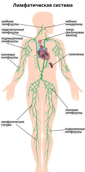 допомога в хвороби