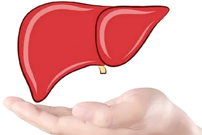як ефективно лікувати печінку