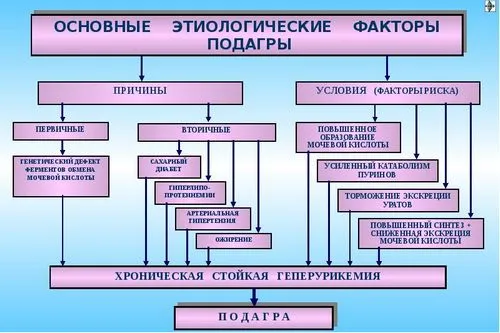 Подагра, вплив нирок на дану хворобу причини захворювання як лікувати нирки при подагрі