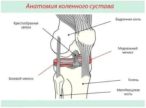 як лікувати забій меніска