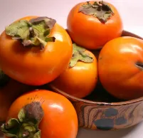 як лікувати гастрит льоном