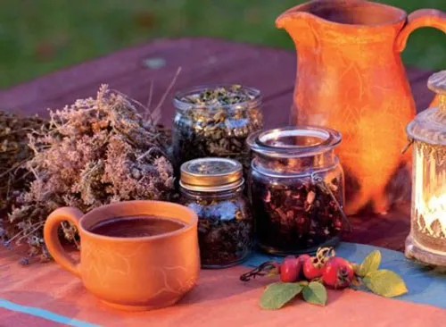як лікувати рак нирки народними засобами