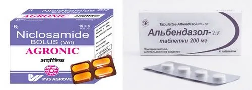 паразити