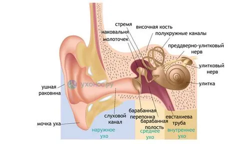 як лікувати тубоотит