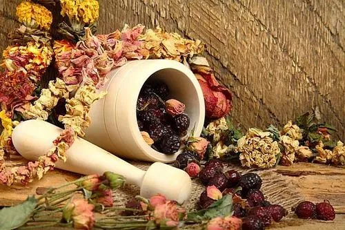 Токсоплазмоз: як лікувати? як лікувати токсоплазмоз народними засобами