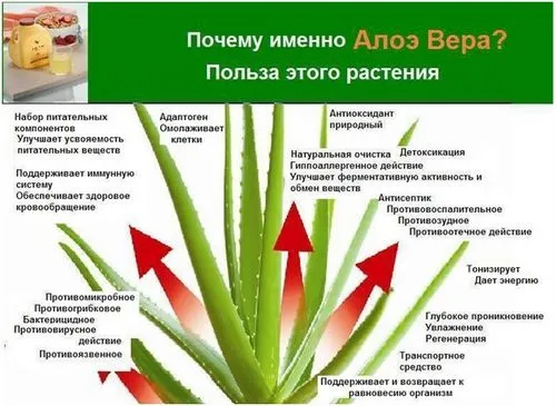 як лікувати нежить соком алое