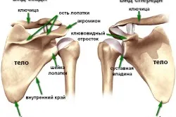 забиті місця