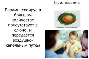Чи викликає свинка безпліддя у чоловіків як лікувати безпліддя після свинки