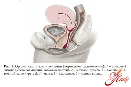 як лікувати варикоз малого таза