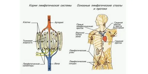 як лікувати запалення печінки