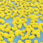 як лікувати хронічний риніт у дітей