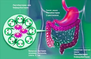 Дисбактеріоз кишечника у дітей: симптоми, лікування як лікувати дисбактеріоз у дітей 2 років