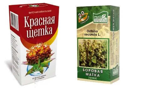 Борова матка при ендометріозі борова матка ендометріоз захворювання