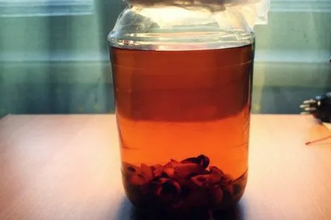 як лікувати запор чорносливом