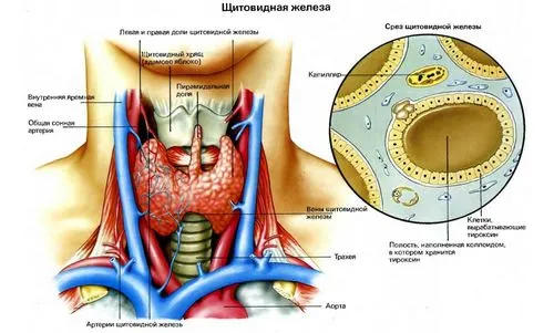 як лікувати зоб у дітей