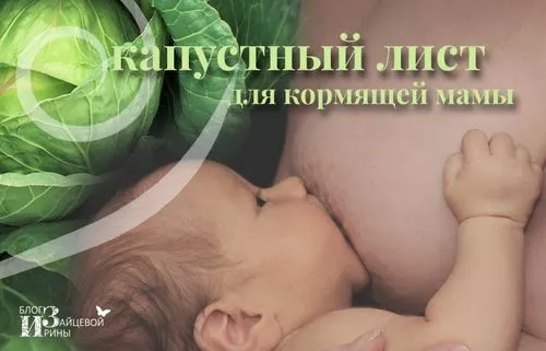 як лікувати лактостаз капустяним листом
