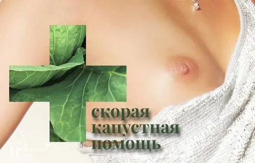 капустяний лист при лактостазе і мастопатії. як прикладати