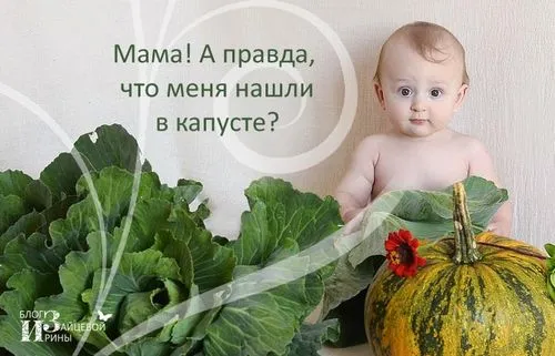 як лікувати лактостаз капустяним листом