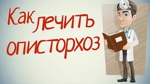 як лікувати опісторхоз дьогтем