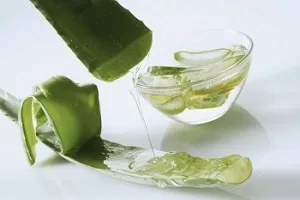 лікувати геморой алое