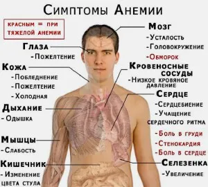 як лікувати анемію у літніх людей