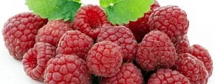 Лікування грипу травами - правда про грип як лікувати грип травами