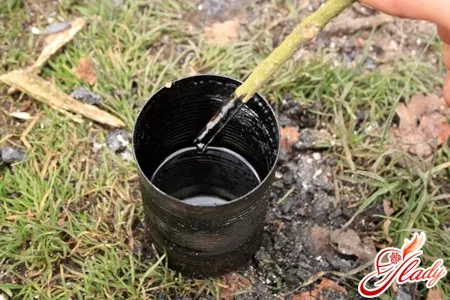 як вилікувати геморой після пологів народними засобами