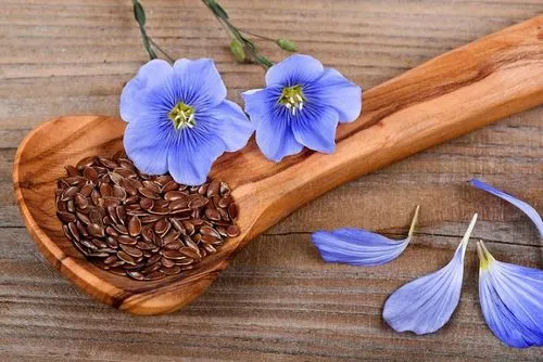 лікувати дисбактеріоз кишечника народними засобами