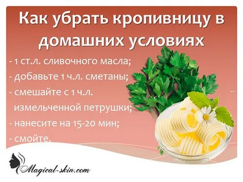 як лікувати кропивницю на нервовому грунті