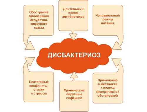 лікувати дисбактеріоз кишечника народними засобами