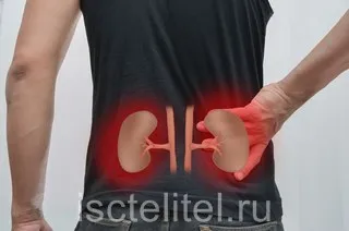 як ефективно лікувати нирки