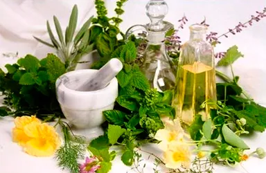 лікування запалення нирок народними засобами трави