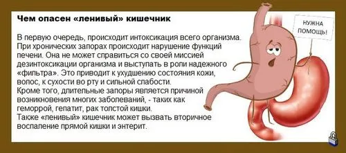 організм