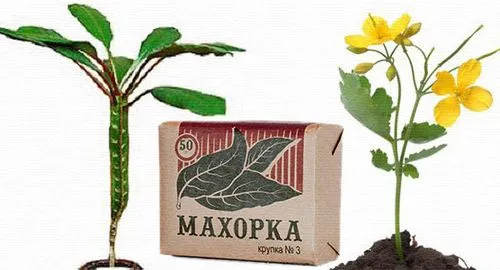 як вилікувати нігті вдома