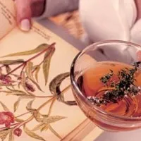 лікувати ендометріоз п'явками