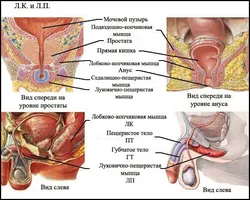 як лікувати рак шлунка содою