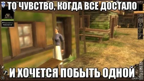 Огляд на guild 2: renaissance guild 2