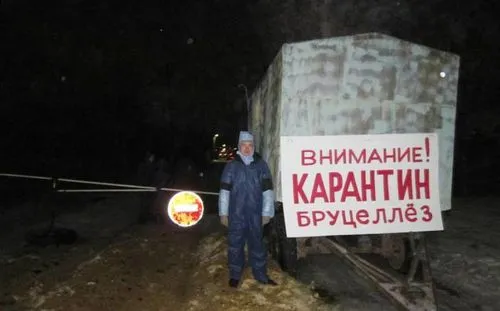 Отруєння сиром - симптоми і перша допомога як лікувати невелике отруєння