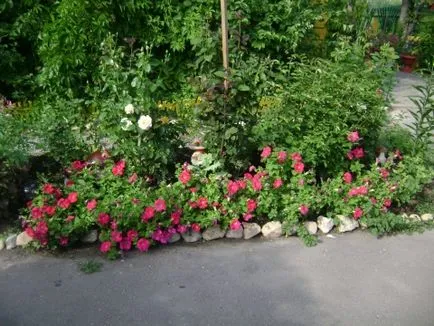 Și, după cum aveți în țară