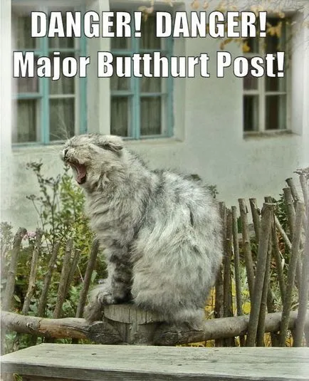 Batthert, butthurt Netlore, batthert, furie, imageboard, ura, emoție