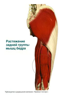 Розтягнення м'язів стегна як лікувати розтягнення двоголового м'яза стегна