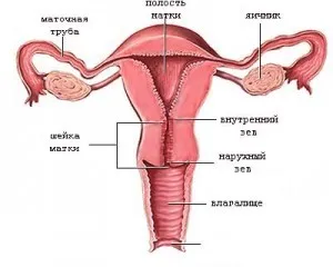як лікувати рак шийки матки 4 стадії